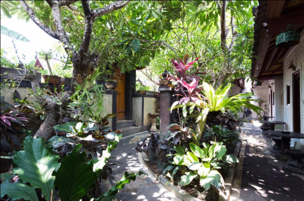 New Danas Canggu Guest House Керобокан Экстерьер фото